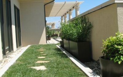 Green Term Defined: Vegetated Roof