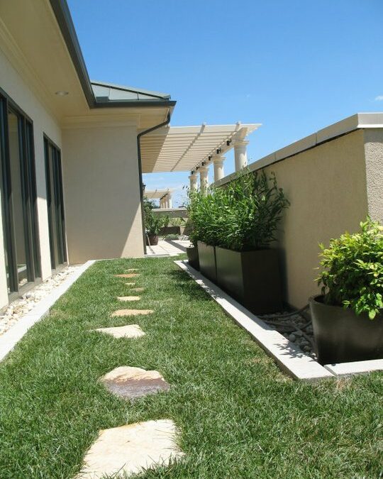 Green Term Defined: Vegetated Roof