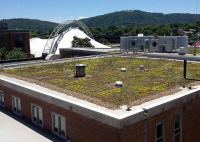 Green Term Defined: Stormwater