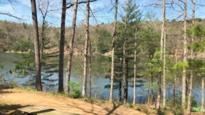 Lot at Bryce Resort overlooking the water through trees.