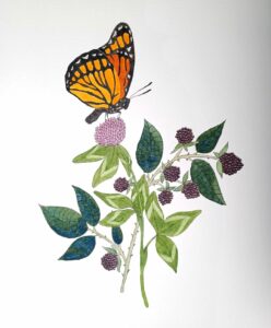 Decorative image shows drawing of flowers with a monarch butterfly sitting on one. locally, owned, handmade, handcrafted, harrisonburg, downtown, small, business, buy